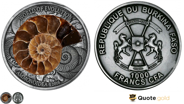 Ammonite